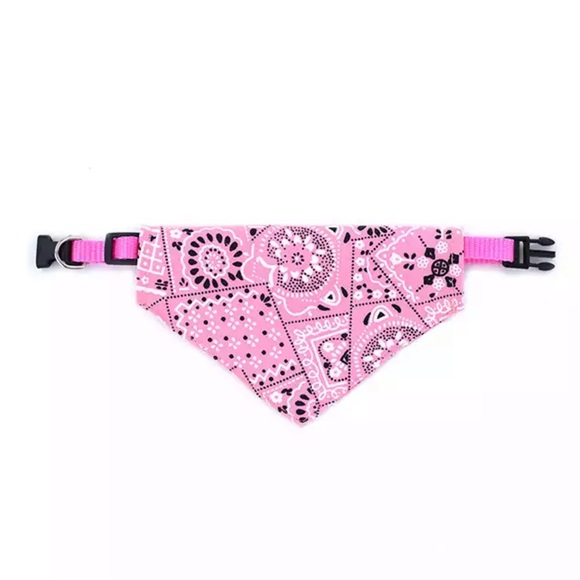 Other - Paisley dog collar new never been used